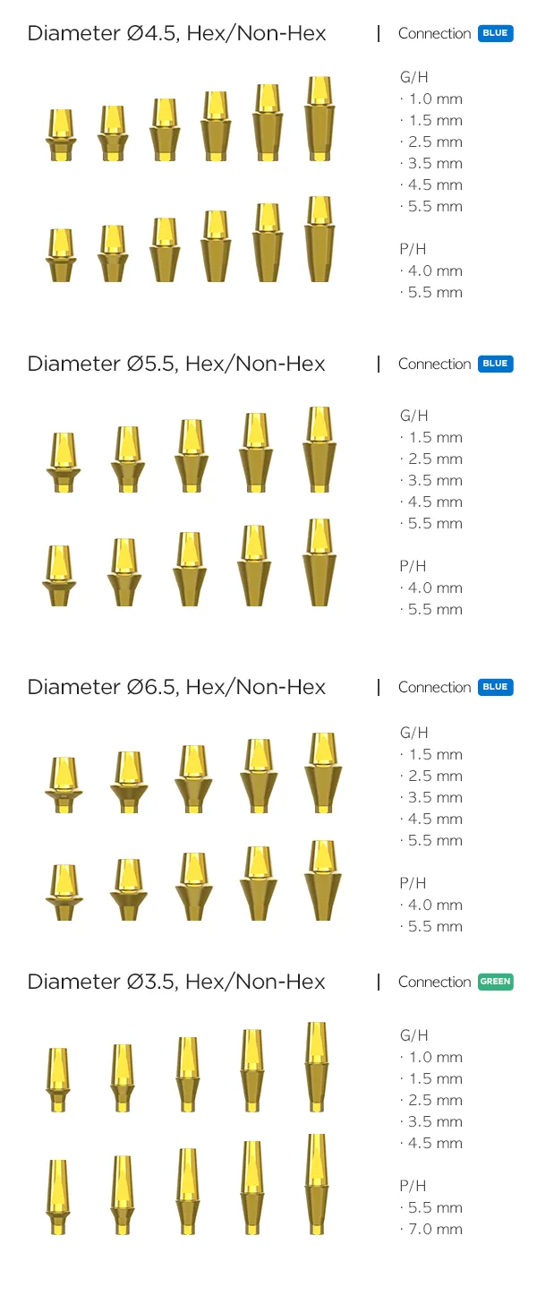 Duplex Abutment - Image 2