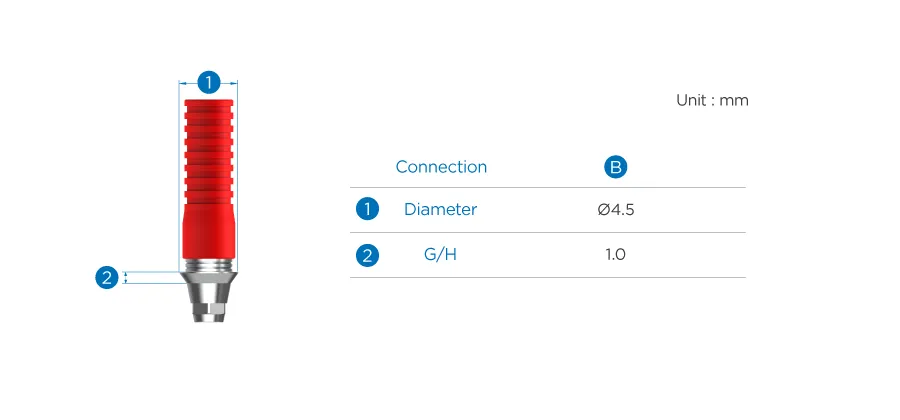 CCM Abutment - Image 4