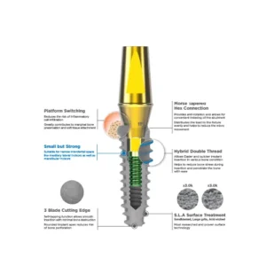 Internal Bone Level - mini