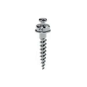 EB Screw